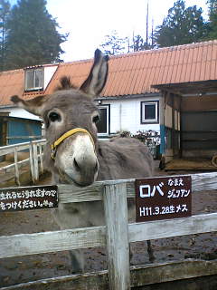 c0032006_22361597.jpg