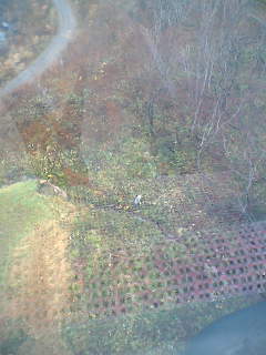c0032006_229686.jpg