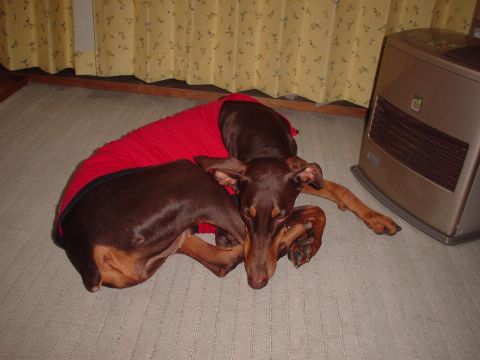 e0100007_06189.jpg