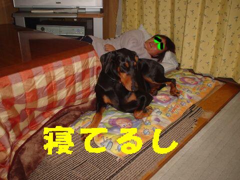 e0100007_06294.jpg