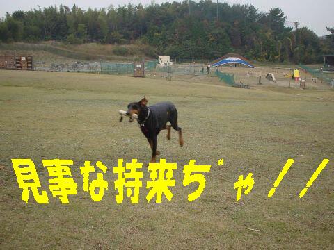 e0100007_0754100.jpg