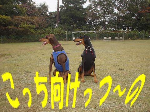 e0100007_09065.jpg
