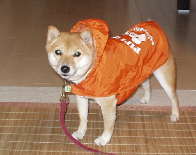 f0004309_23535238.jpg