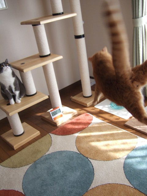 f0032020_12123646.jpg