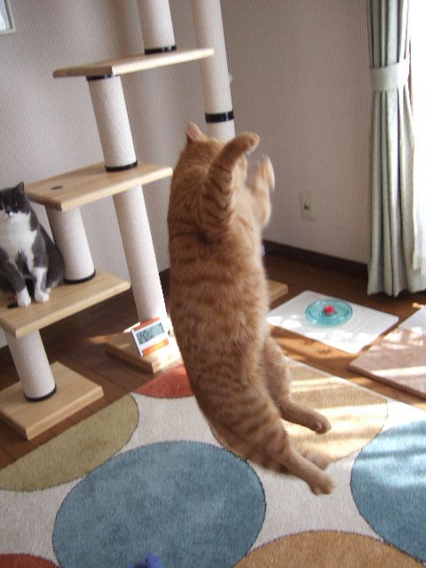 f0032020_12131238.jpg