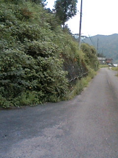 c0025122_22474484.jpg