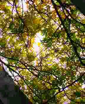 f0031722_13582474.jpg