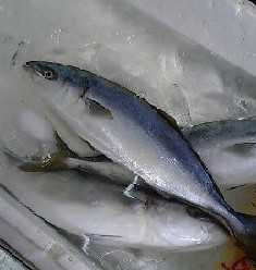 f0022024_2114145.jpg