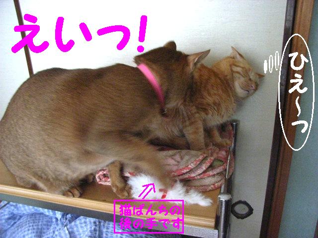 d0081025_19365072.jpg