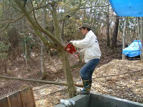 f0090444_21325910.jpg