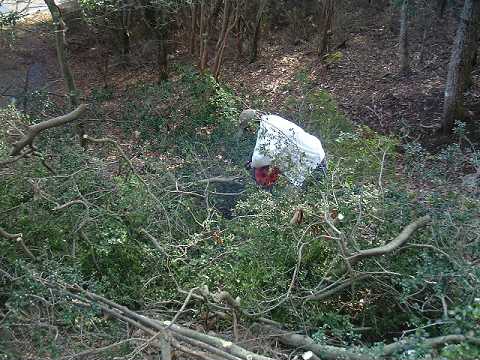 f0090444_21332073.jpg