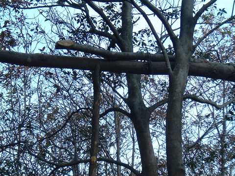 f0090444_21381112.jpg