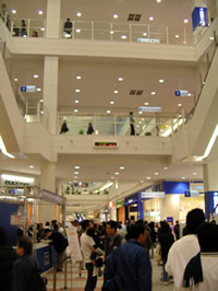 d0035245_1615720.jpg