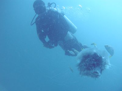 e0027447_14463993.jpg