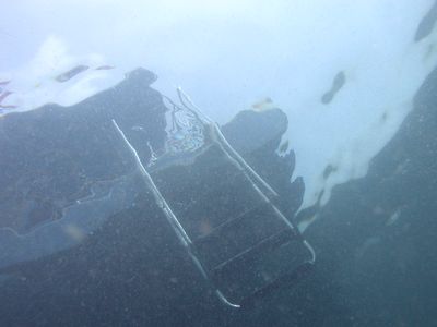 e0027447_1447499.jpg
