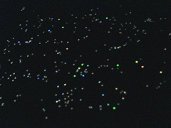 e0005548_111232.gif