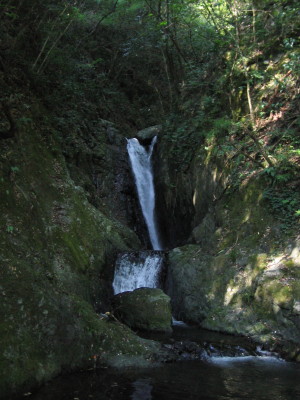 a0013751_07250.jpg