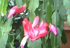 c0043055_1964142.jpg