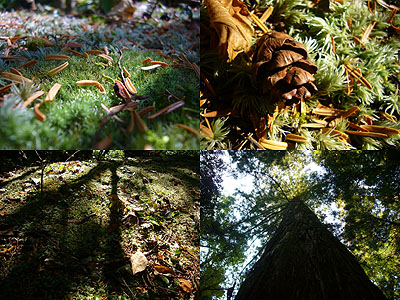 c0027965_22205224.jpg