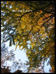 c0027369_2216327.jpg