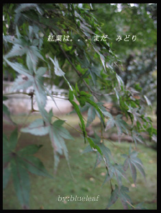c0027369_2217151.jpg