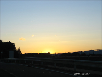 c0027369_22263560.jpg