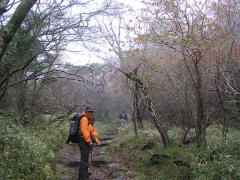 c0042869_1828521.jpg