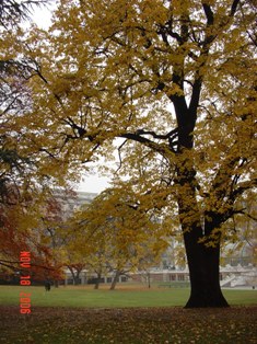 f0092473_351715.jpg