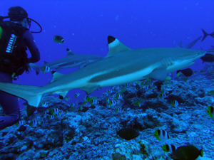 d0041074_2041781.jpg