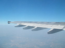 f0012479_1274236.jpg