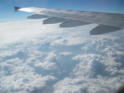 f0012479_136375.jpg