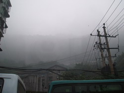 f0012479_1443661.jpg