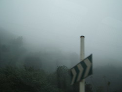 f0012479_1451660.jpg