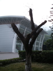 f0012479_1502522.jpg