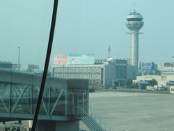 f0012479_1532529.jpg