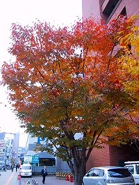 b0073782_1940348.jpg