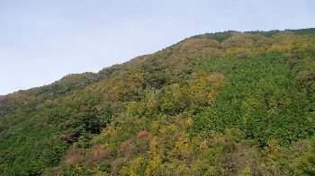 f0003283_18465510.jpg