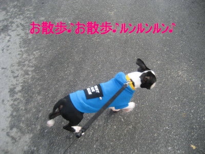 c0092787_1122228.jpg