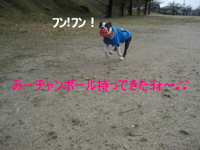c0092787_113241.jpg