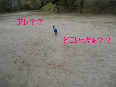 c0092787_115552.jpg
