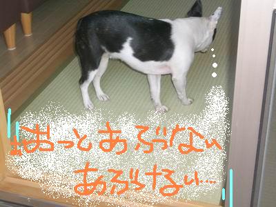a0086698_2212759.jpg