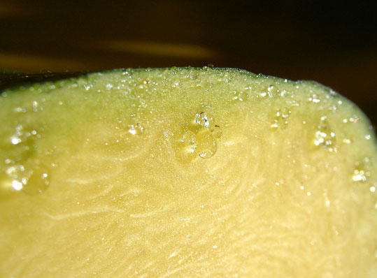 b0065499_995922.jpg