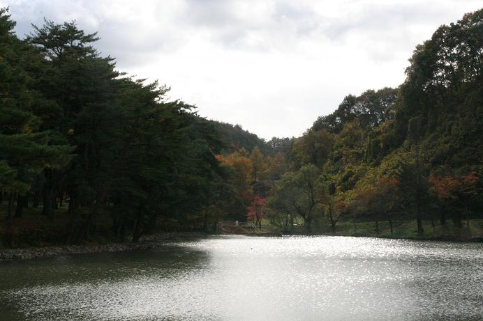 a0062203_16504929.jpg