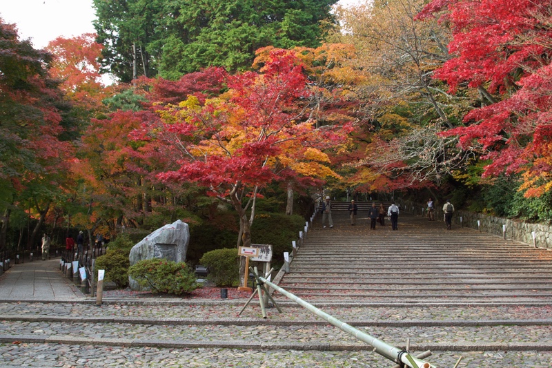 c0043403_21553188.jpg