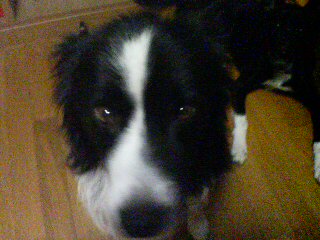 f0090009_13291843.jpg