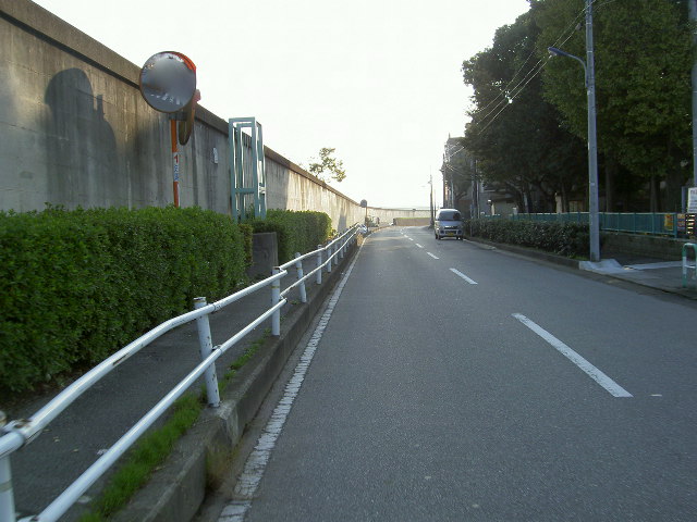 a0077616_1126678.jpg