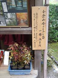 b0077117_2265810.jpg