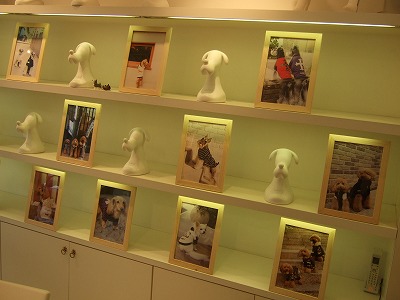 d0023323_23275139.jpg