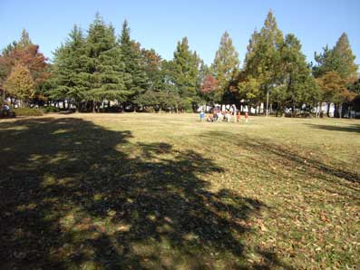 c0098228_20234457.jpg