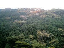b0004229_23264337.jpg